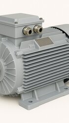 Dual-Speed Asynchronous Motors