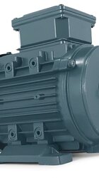 Industrial Electric Motors