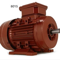 132 kW 1500 RPM Standard Electric Motor