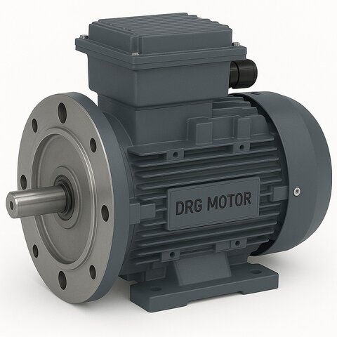 315 kW 1000 Devir Elektrik Motoru