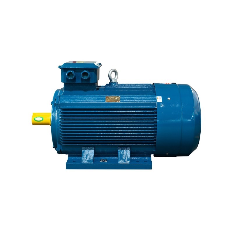 200 kW 1000 Devir Elektrik Motoru