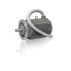 0.75 kW 1000 Rpm Electric Motor