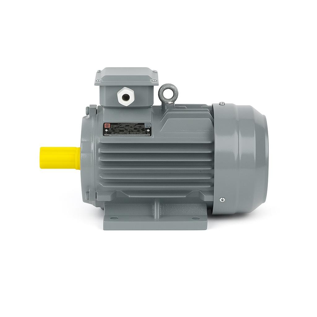 5.5 kW 1000 Devir Elektrik Motoru