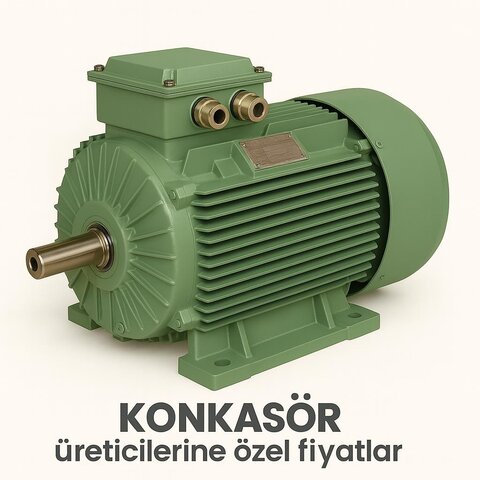 200 kW 1000 Devir Elektrik Motoru