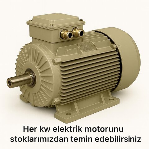 0.75 kW 1500 Devir Elektrik Motoru