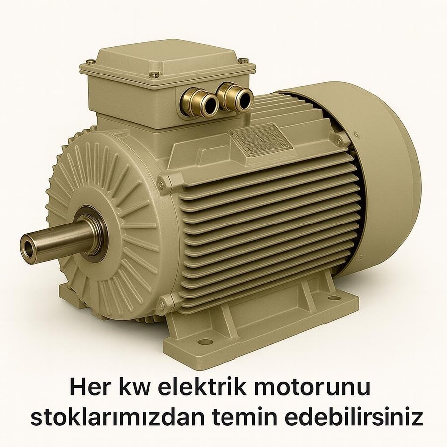 0.75 kW 1500 Devir Elektrik Motoru