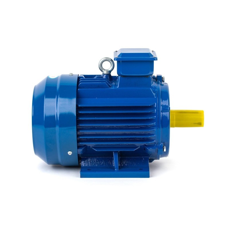 30 kW 3000 Devir Elektrik Motoru - DRG MOTOR,