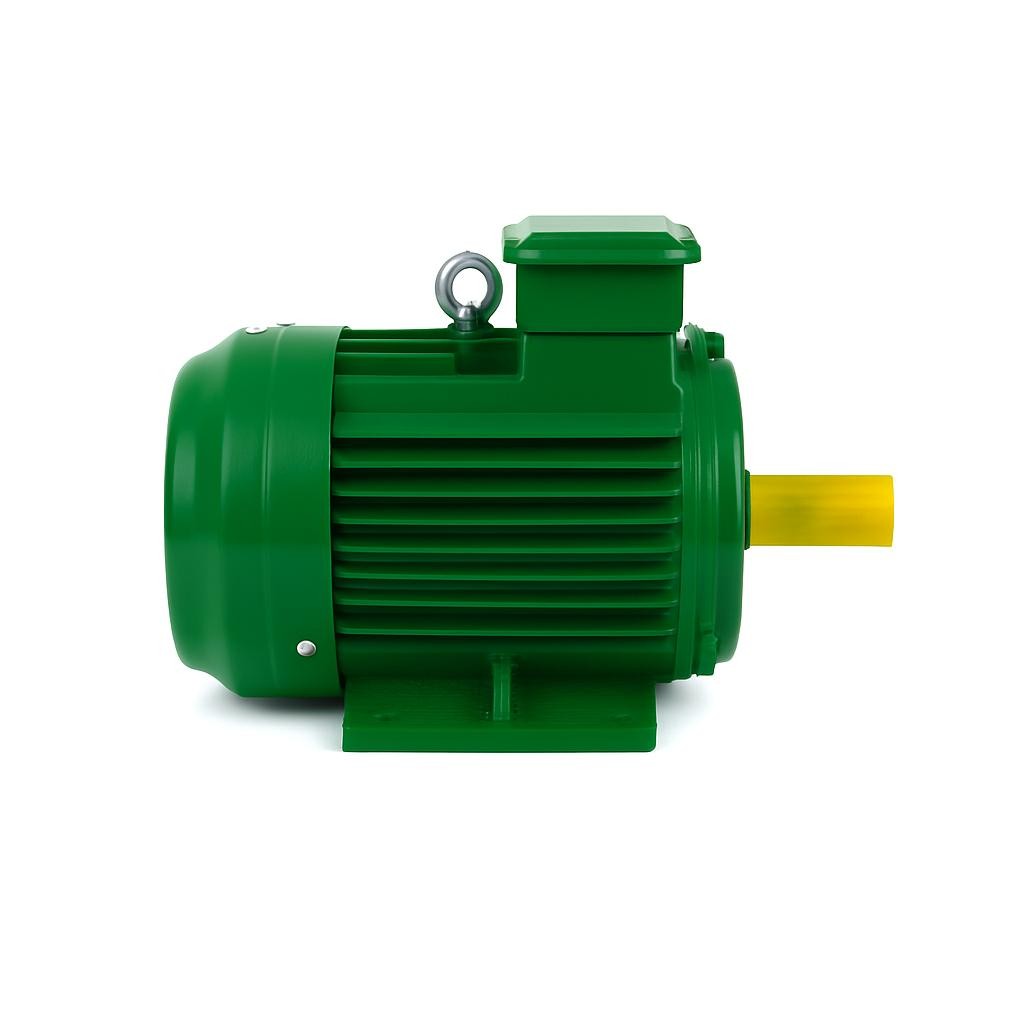 37 kW 3000 Devir Elektrik Motoru