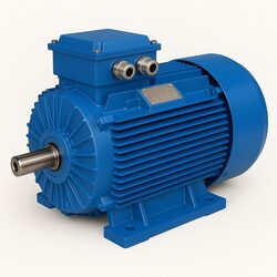 75 kW 3000 Rpm Electric Moto