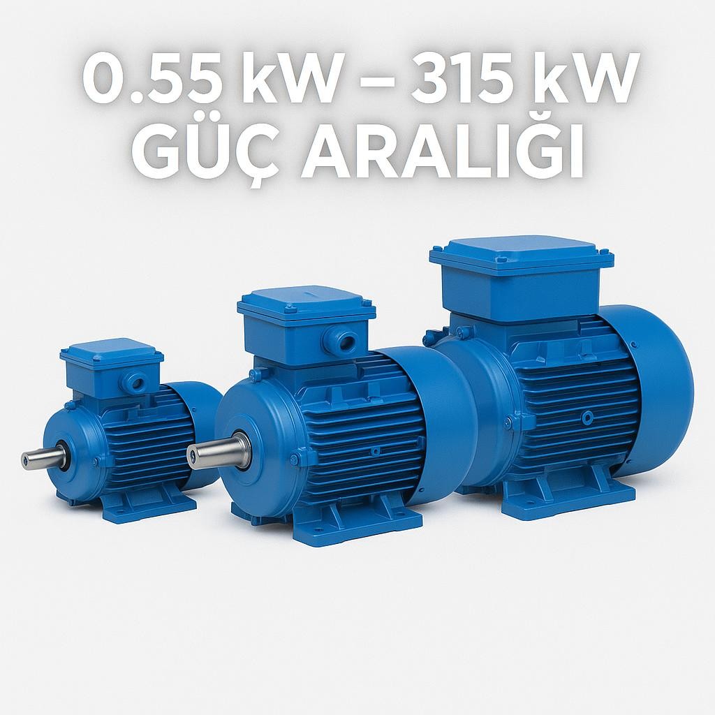 0.55 kW (3/4 Hp) 1500X380 DRG Marka Trifaze Elektrik Motoru - DRG MOTOR,