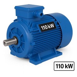 110 kW - 1500 d/d Pik Döküm Elektrik Motoru IE4 - DRG MOTOR,