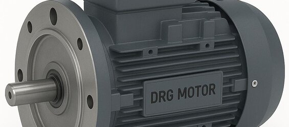 İzmir Düşük kW Elektrik Motoru