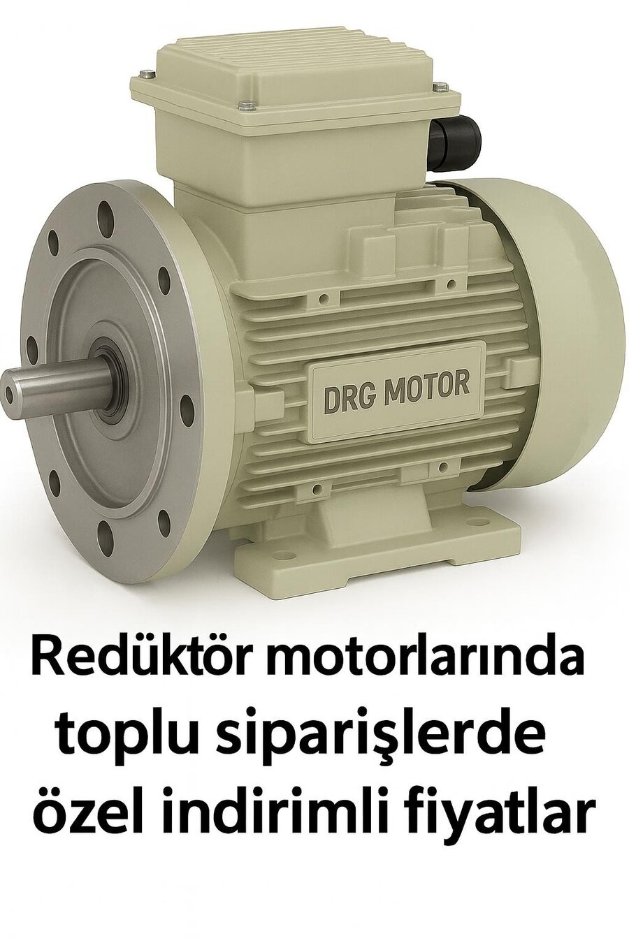 Yüksek Kapasiteli Elektrik Motorları