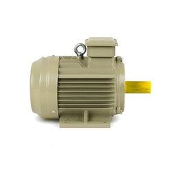 IE4 Motor