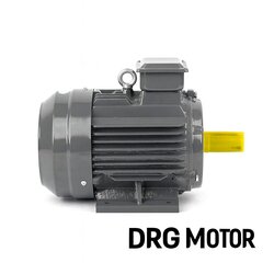 132 kW 1500 rpm IE4 Cast Iron Body Electric Motors Izmir - DRG MOTOR,