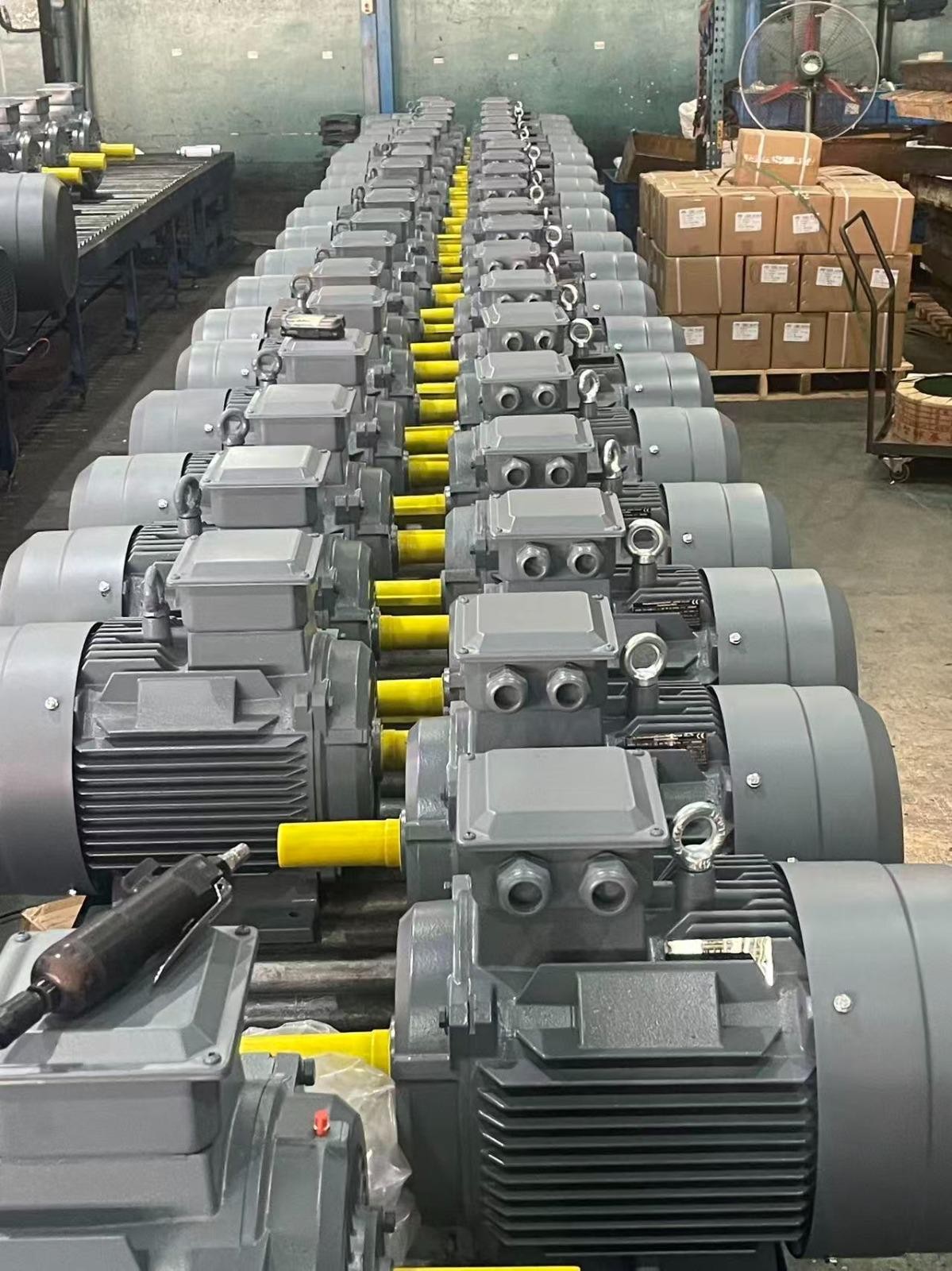 Düşük kW 3000 d/d Elektrik Motorları - DRG MOTOR,