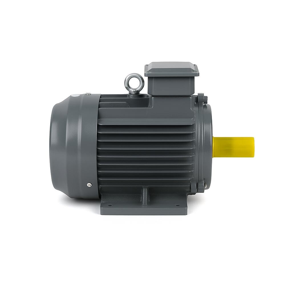 Yüksek kW 1000-1500-3000 Devir Elektrik Motor Seçenekleri