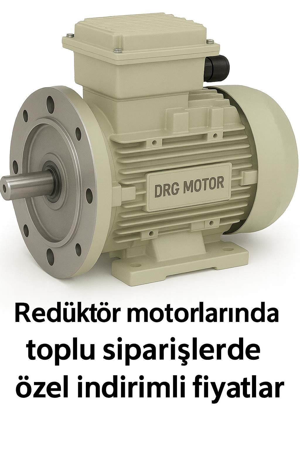 Düşük kW Elektrik Motoru İzmir
