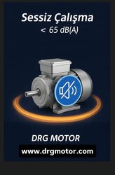 Low Noise and High Torque DRG Electric Motors