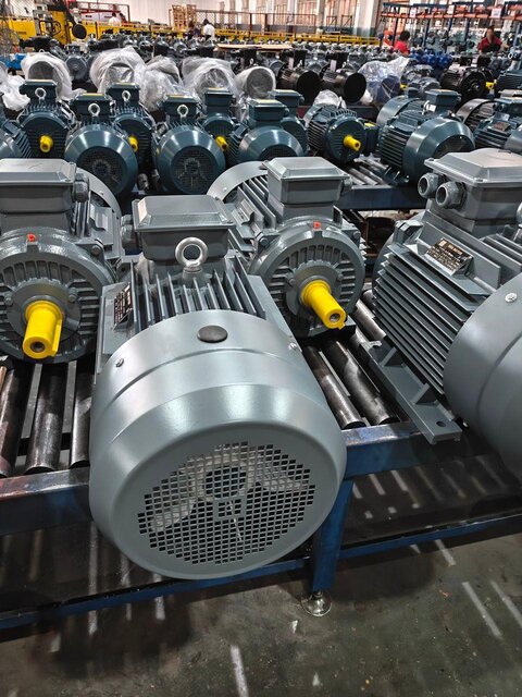 Heavy Duty Electric Motors – DRG MOTOR,