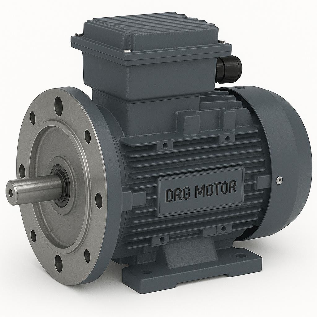 IE4 Motor İzmir