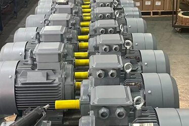DRG ELECTRIC MOTORS – Designed for Heavy-Duty Working Conditions