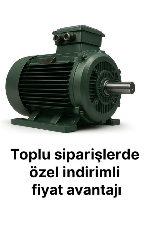 15 kW 1000 Devir Elektrik Motoru