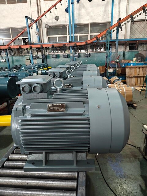 Motors for Stone Crushing Plants