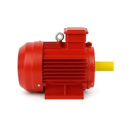 Electric Motors for Stone Crushing and Screening Plants