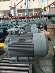 High-Efficiency and Durable Electric Motors