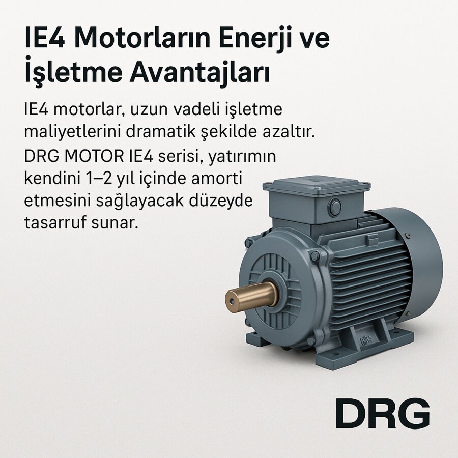 Madencilik ve Agrega Tesisleri İçin DRG ELEKTRİK MOTORLARI,