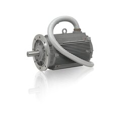Smoke Extraction Motors