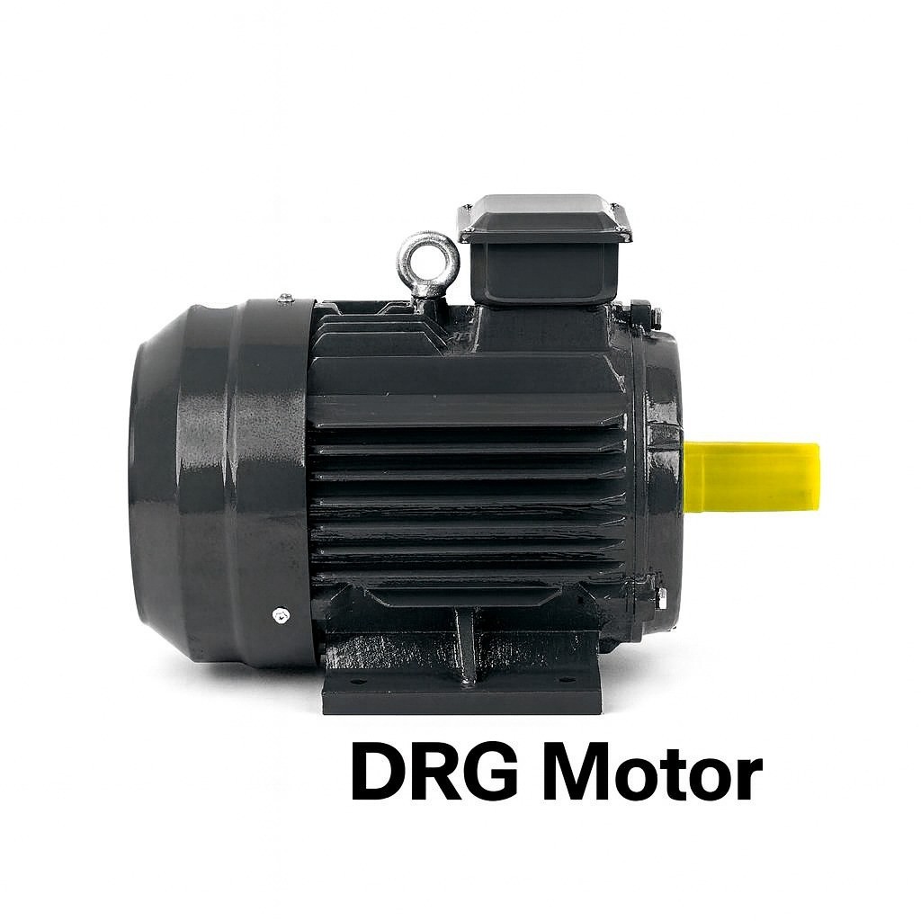 37 kW 3000 Devir DRG Elektrik Motoru,