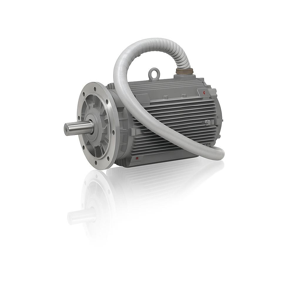 iZMİR Elektrik Motoru Bayileri