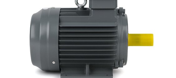 75 kW Elektrik Motoru - DRG Motor