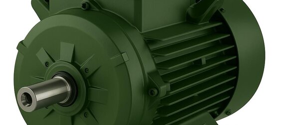 Izmir Electric Motor Guide
