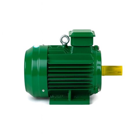 High–Low kW Electric Motor Prices