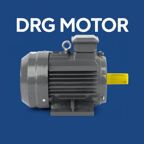 22 kW 1500 RPM AC Motor