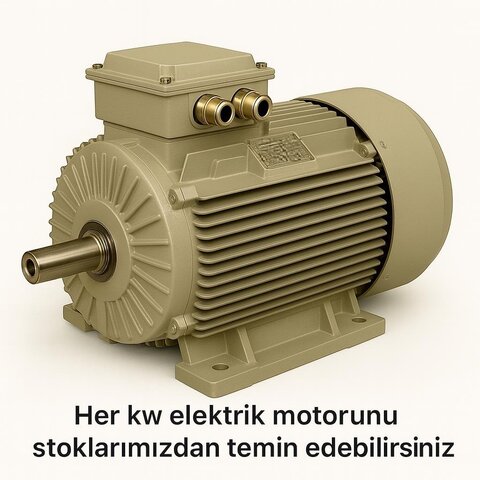Izmir Asynchronous Electric Motor