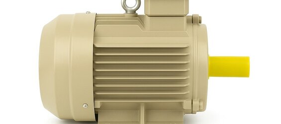 Dual-Speed Asynchronous Motors