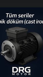 Taş Kırma Tesisi Elektrik Motorları (yüksek tork üreten motorlar) - DRG MOTOR,