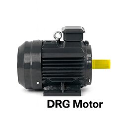 High–Low kW Motors - DRG Motor