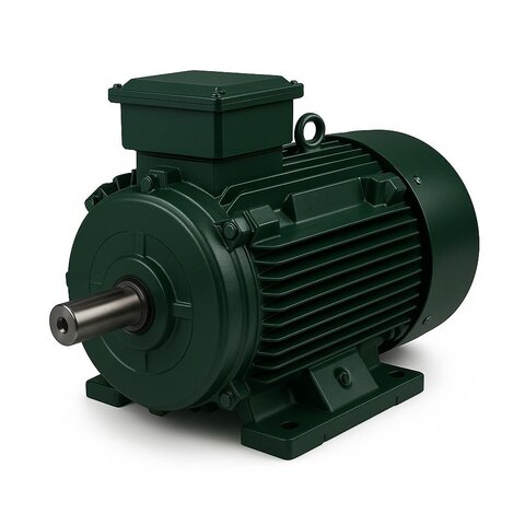 Ağır Hizmet Tipi Elektrik Motoru - DRG Motor