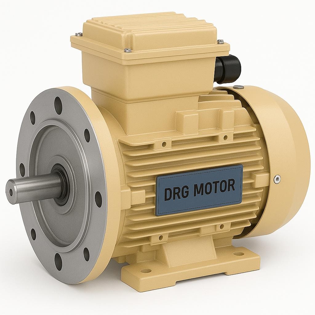 5.5 kW 1000 Devir Elektrik Motoru