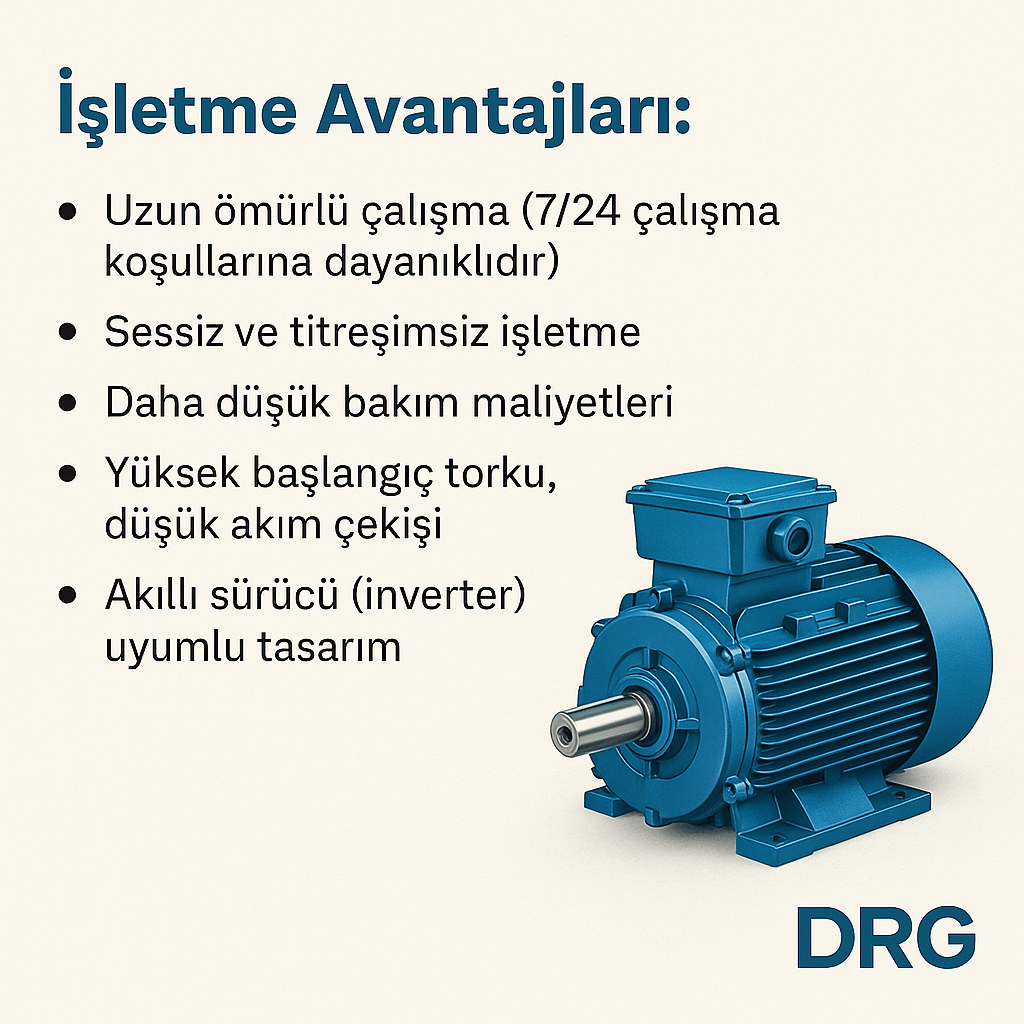 3 Fazlı Asenkron Elektrik Motorları - DRG MOTOR.